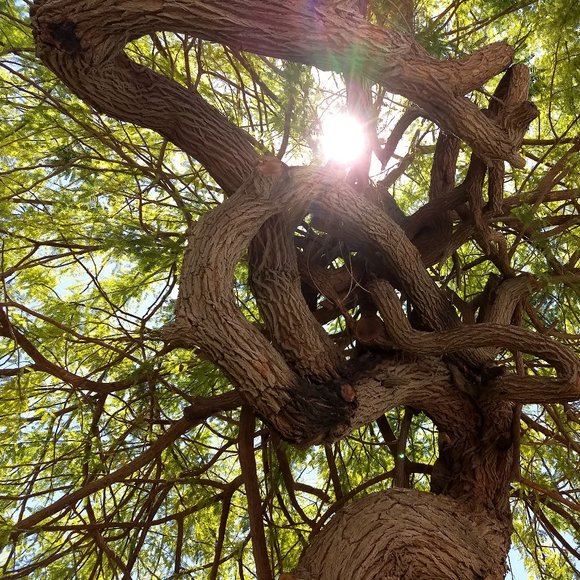 Hi, I'm IJ. I love all clothes, and cats.... Cats are Cool... - Picture 1 of 1